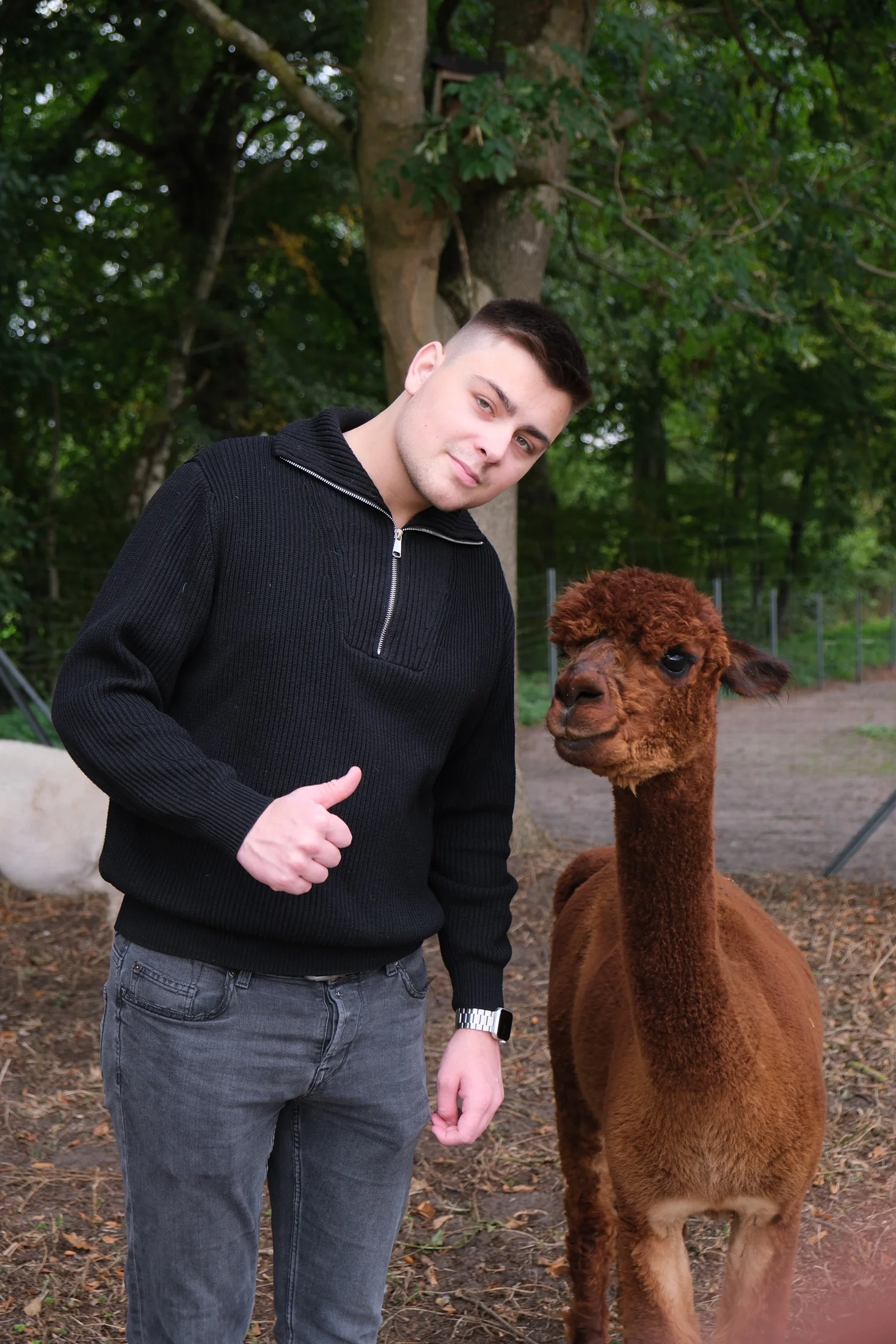 Nick mit einem braunen Alpaka